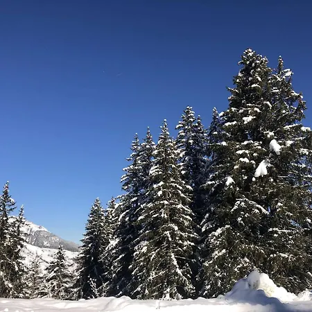 شقة Pierrer - Le Pierrer 13 - Divisible, Vue Pistes Et Montagne Mae-5574 *
